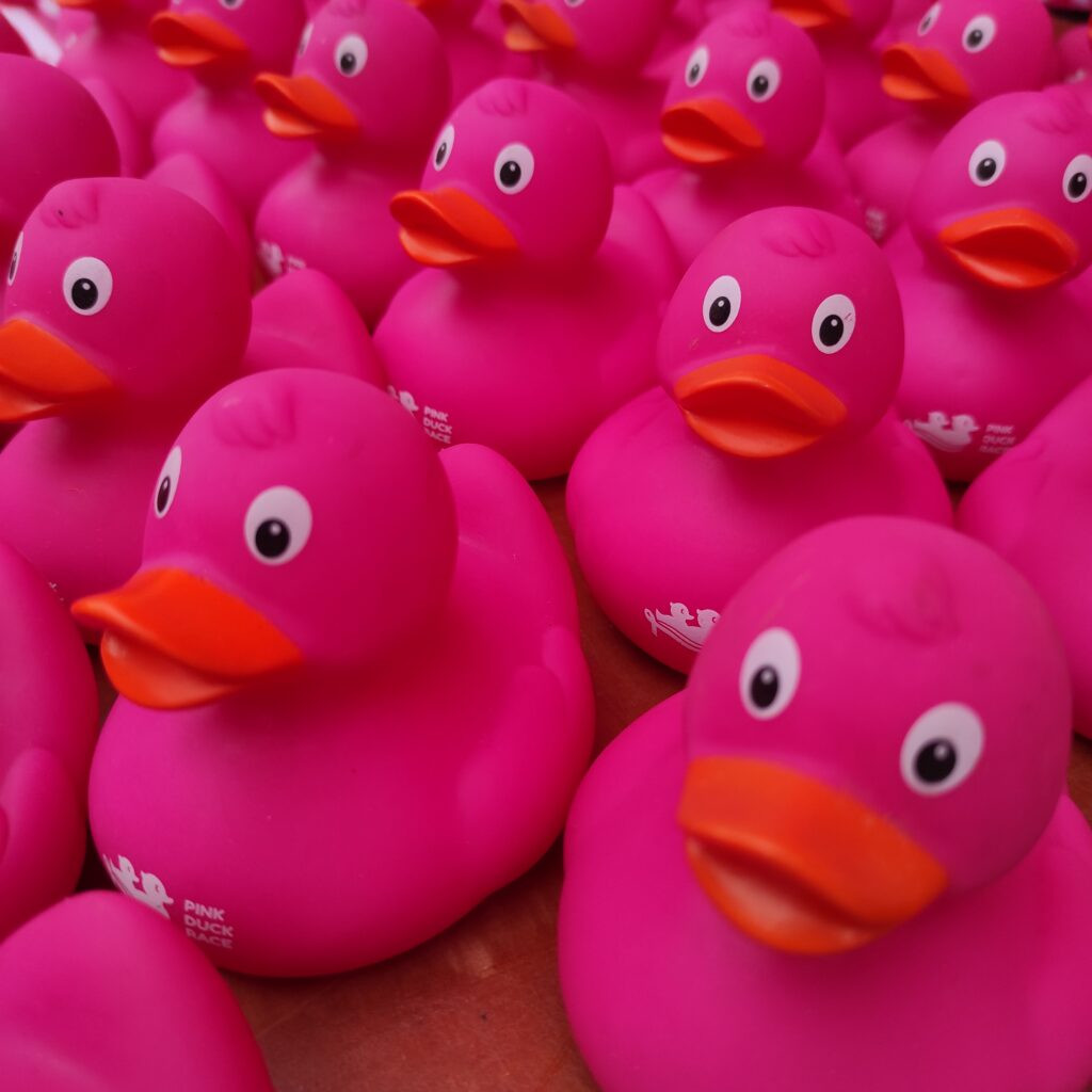Pink Duck Race UK